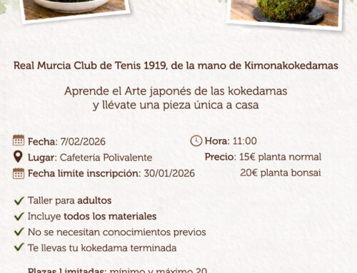 Apuntate al Taller para Adultos de Kokedamas, Arte Vegetal Japonés