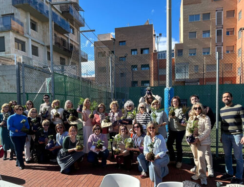 Éxito de participación en el taller de Kokedamas